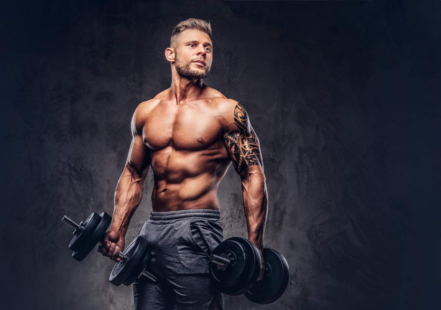 About FitGym